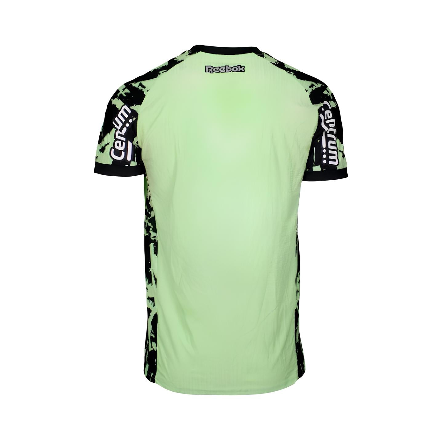 Botafogo Gardiens de But 25/26