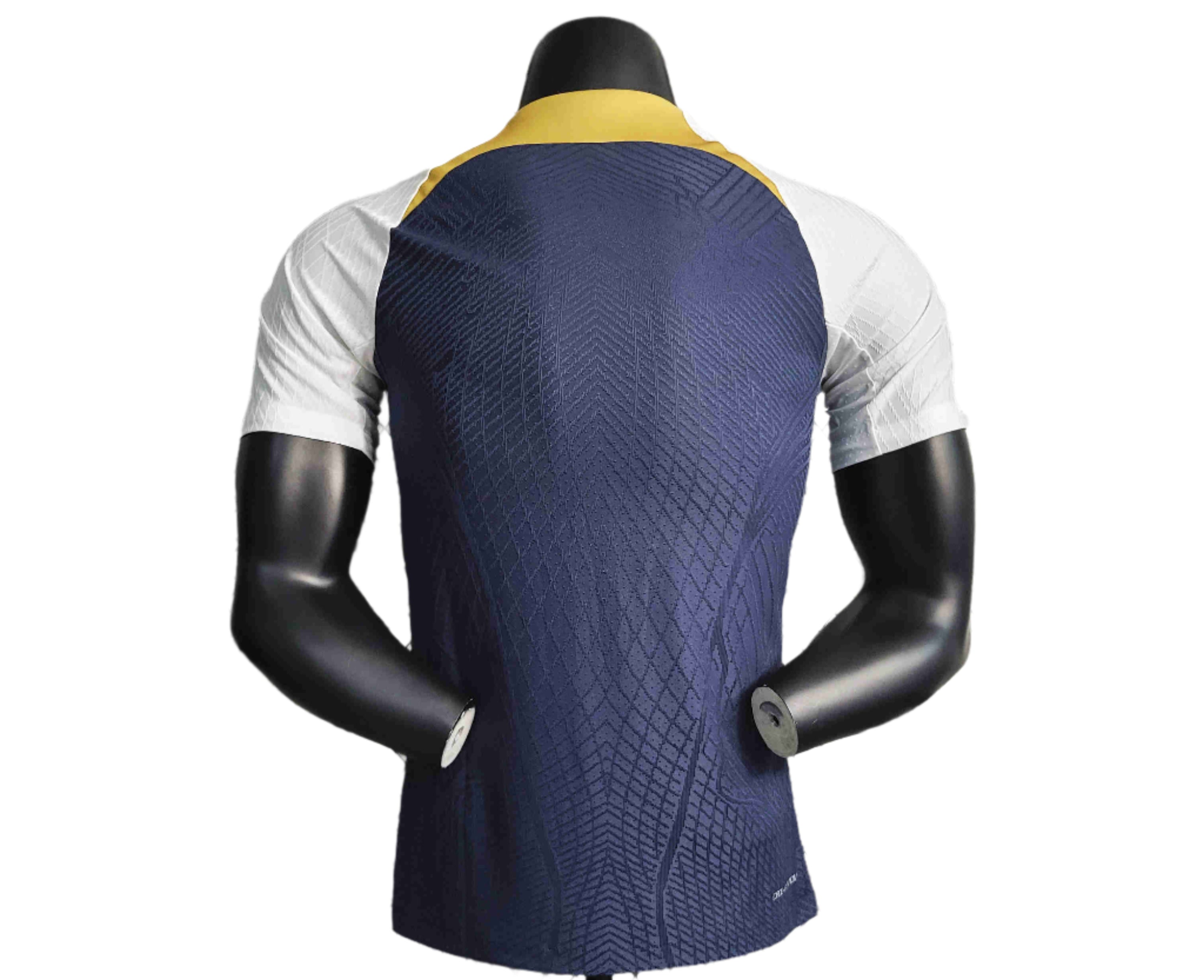 Chelsea Entraînement 23/24 - Version Joueur