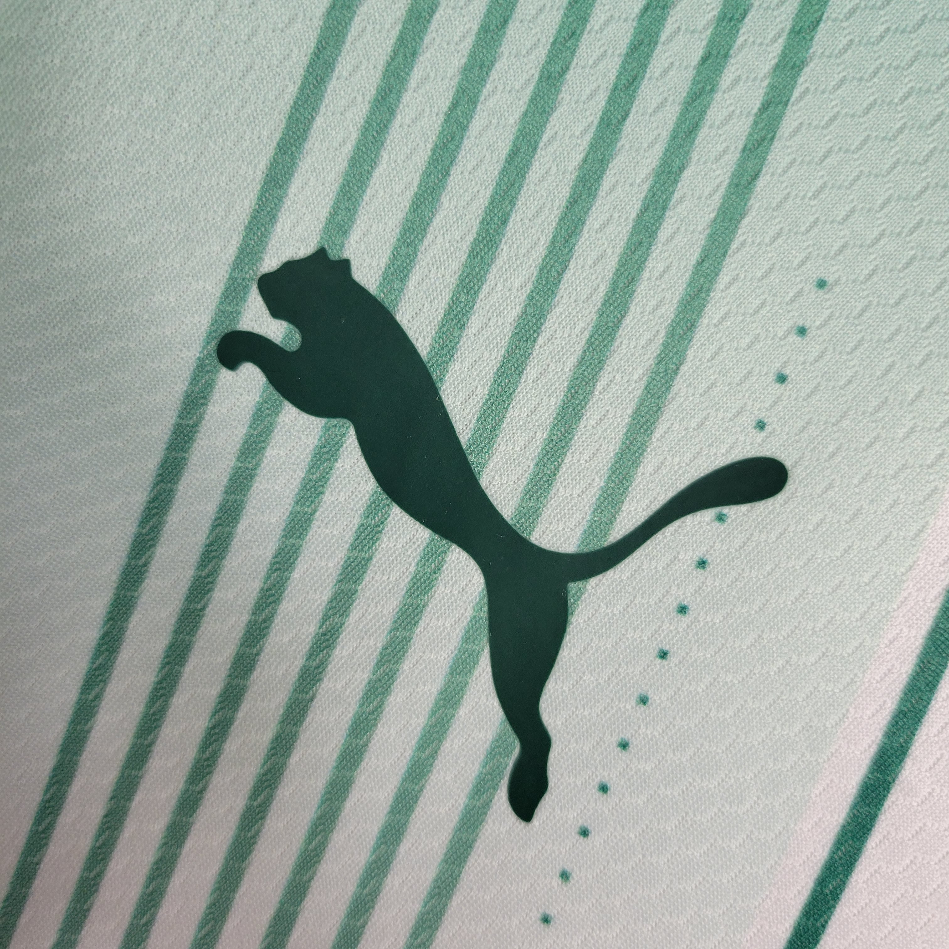 Palmeiras Entraînement 23/24 - Manches Cava