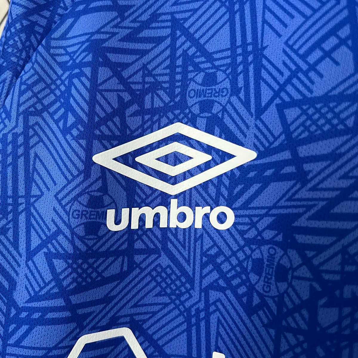 Grêmio Entraînement 24/25