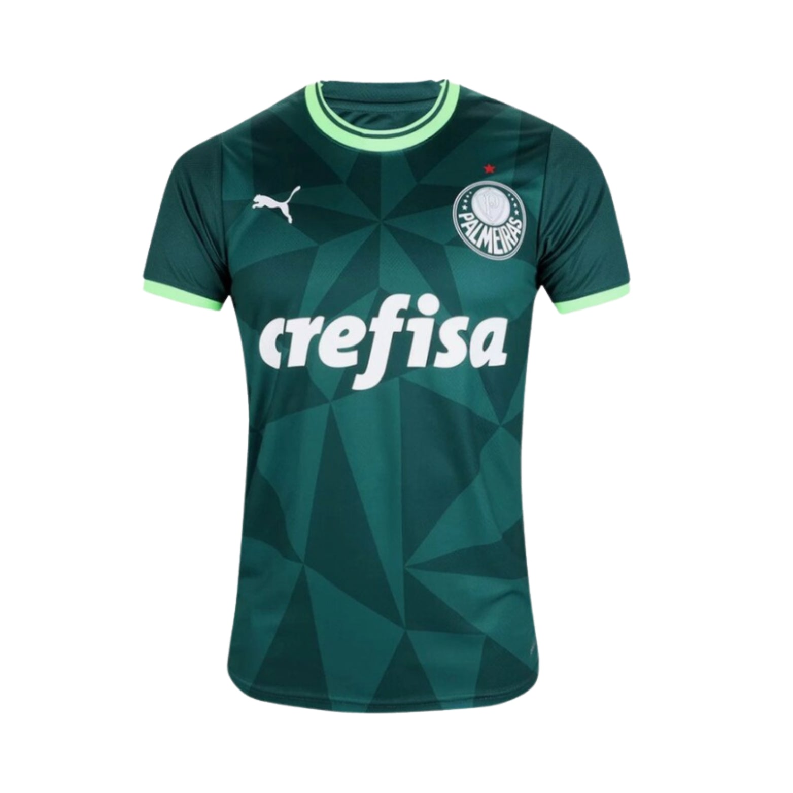 Palmeiras Domicile 23/24