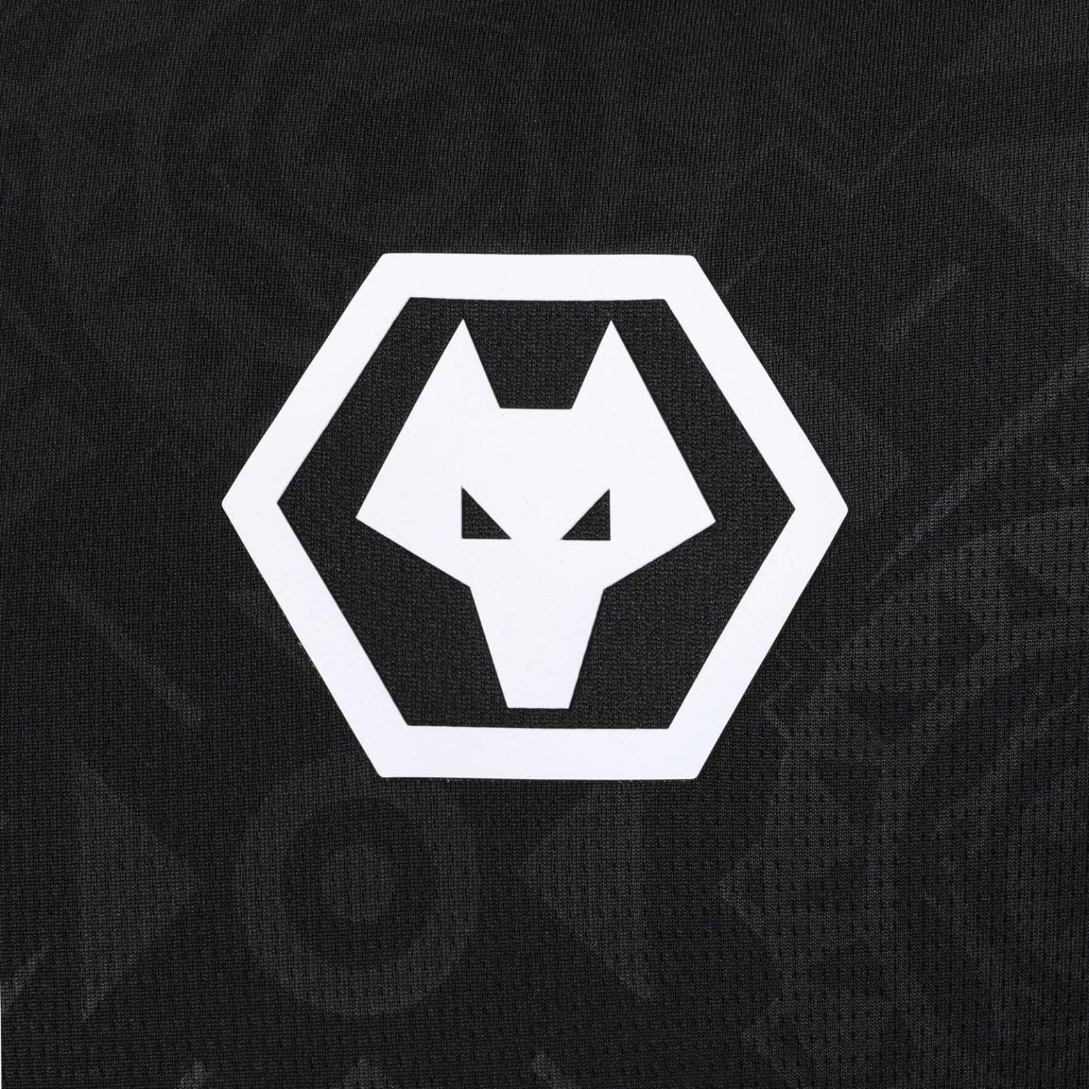 Wolves Gardiens de But 25/26