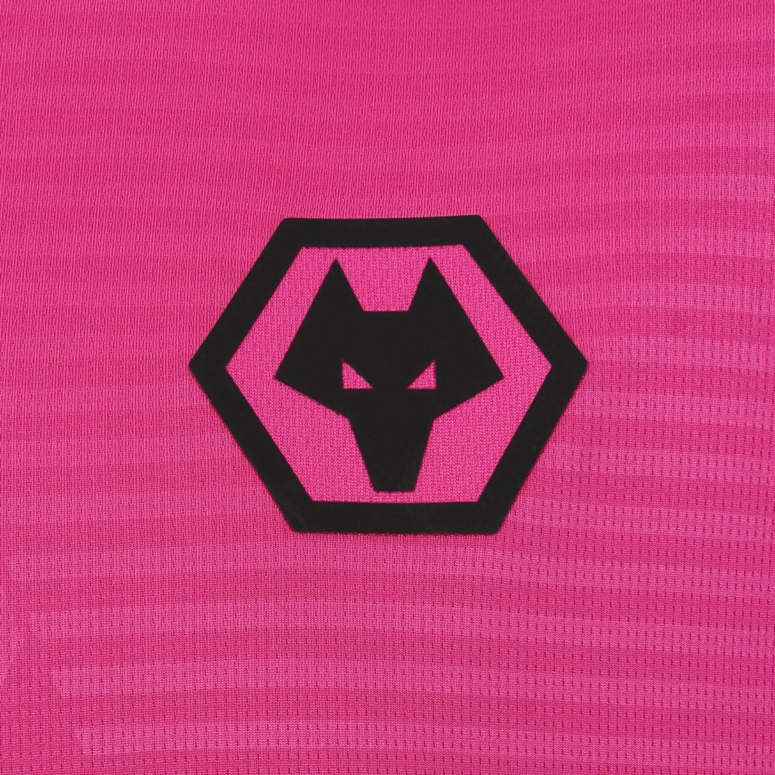 Wolves Gardiens de But 25/26
