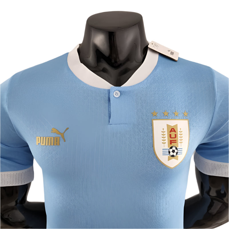 Uruguay Domicile 22/23 - Version Joueur