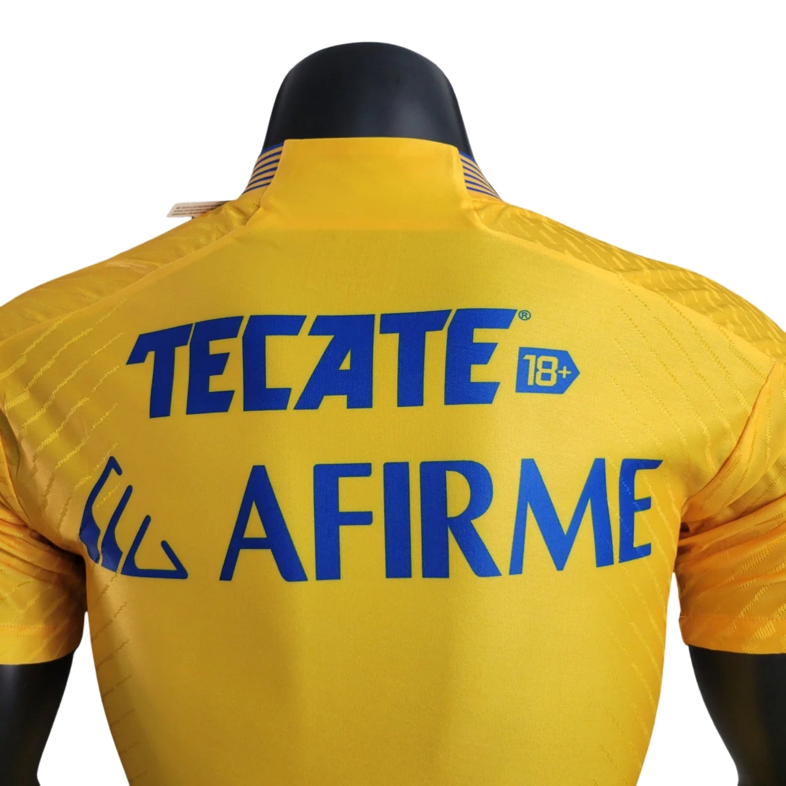Tigres Domicile 23/24 - Version Joueur