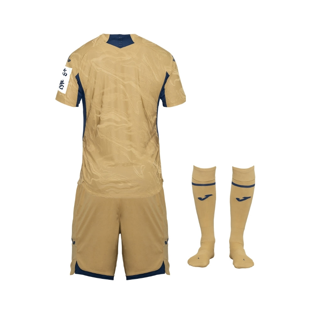 Kit - Hoffenheim Gardiens de But 25/26