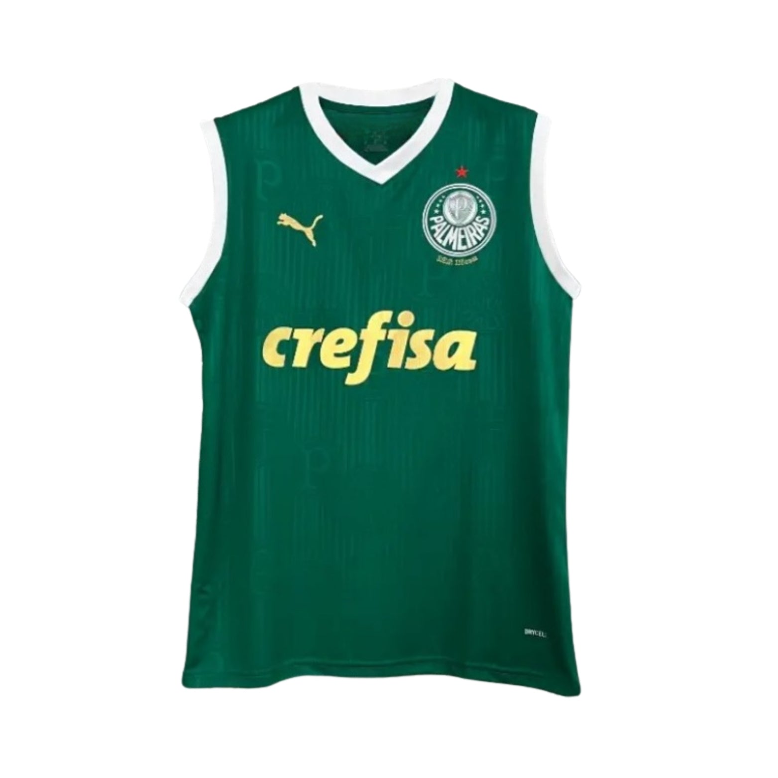 Palmeiras Entraînement 23/24 - Manches Cava
