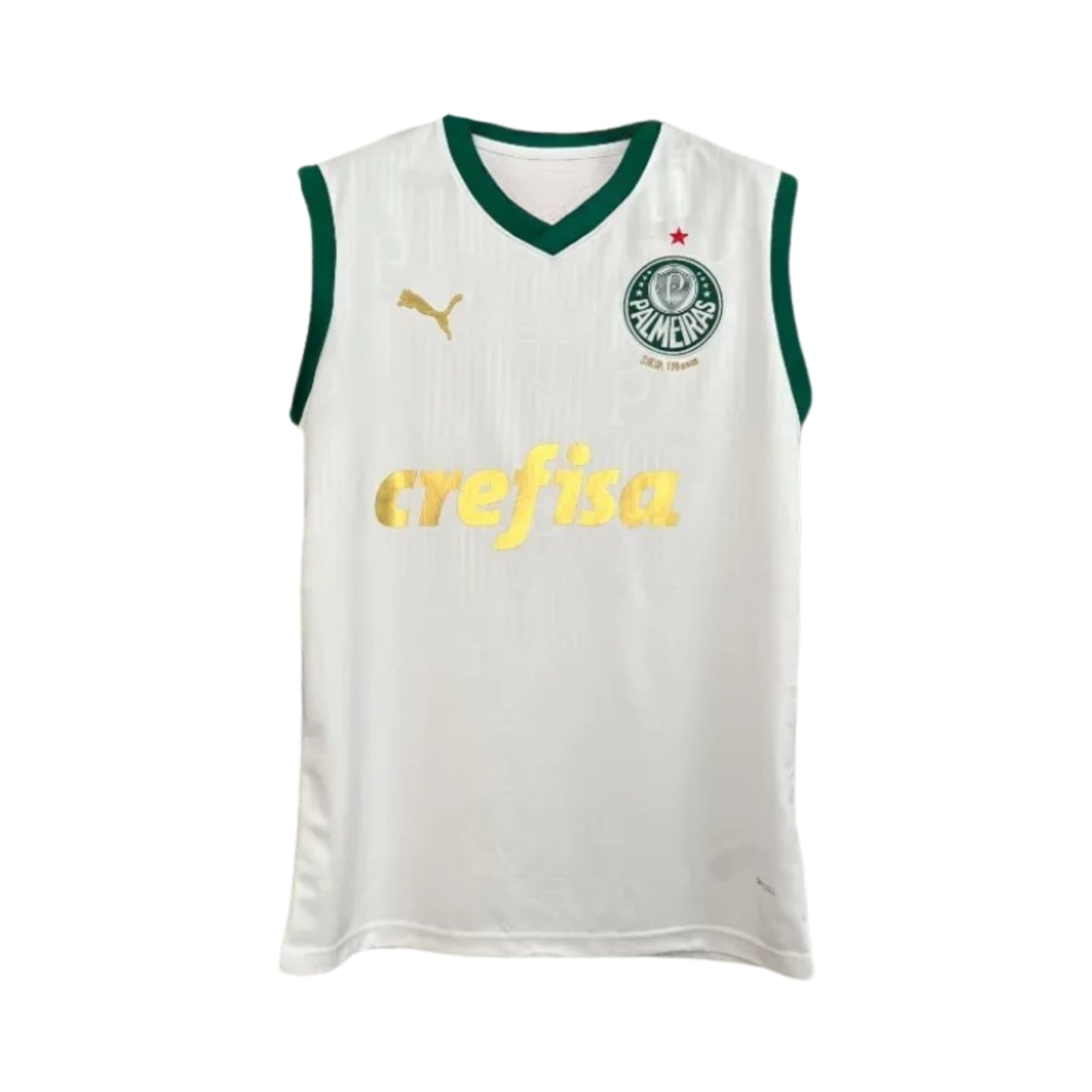 Palmeiras Entraînement 23/24 - Manches Cava
