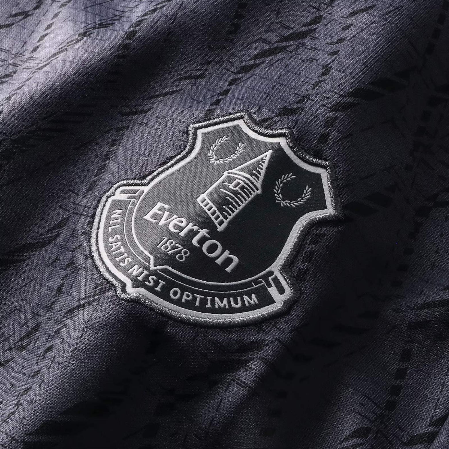 Everton Gardiens de But 25/26