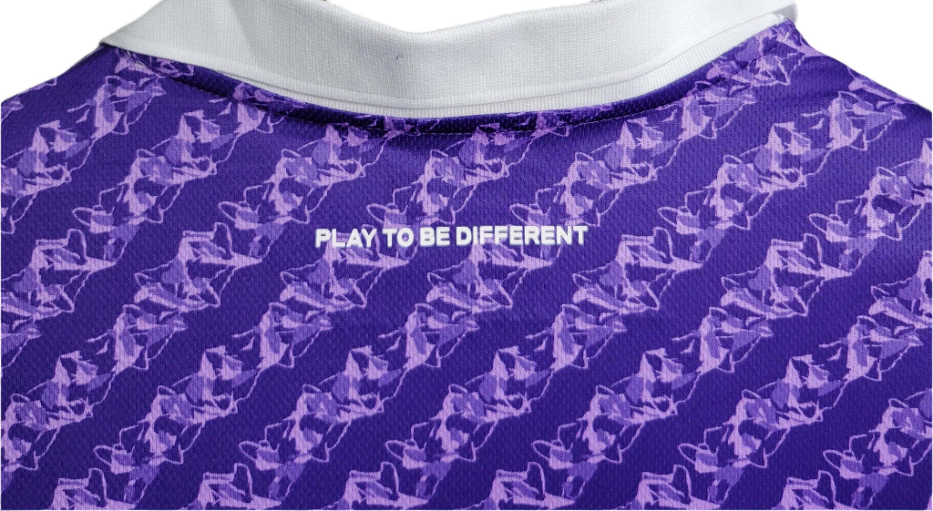 Fiorentina Domicile 23/24