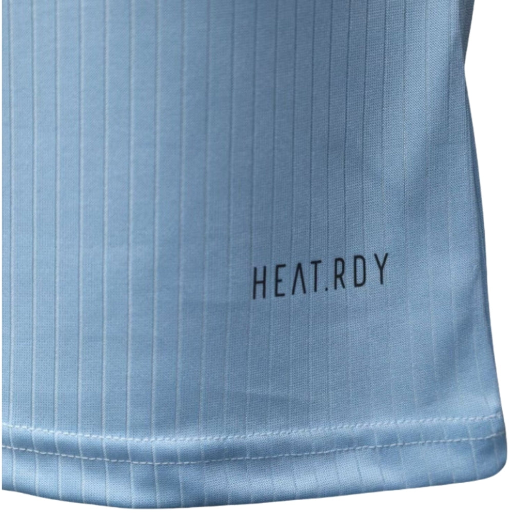 Allemagne Gardiens de But 25/26 - Version Joueur