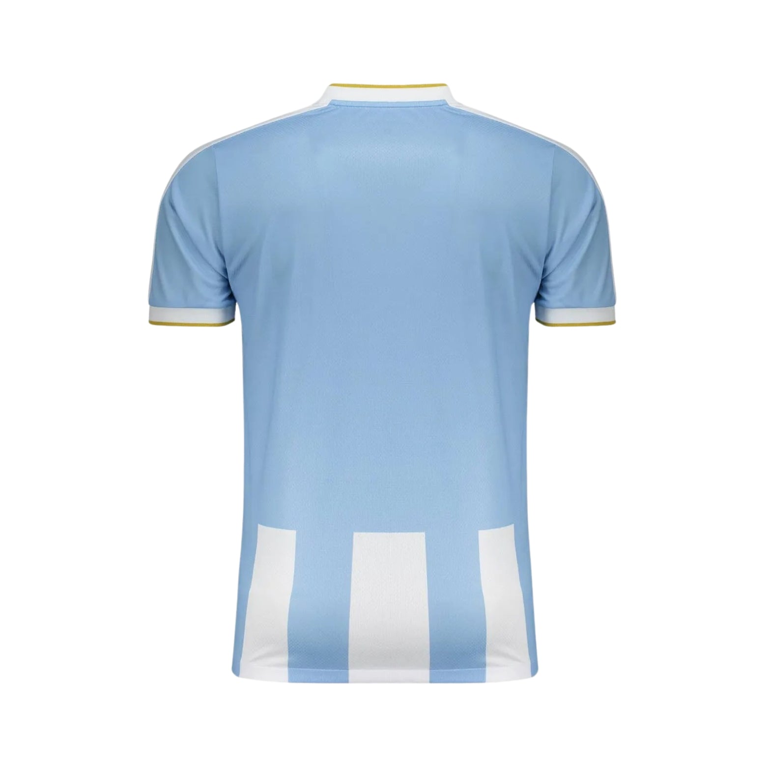 Paysandu Domicile 25/26